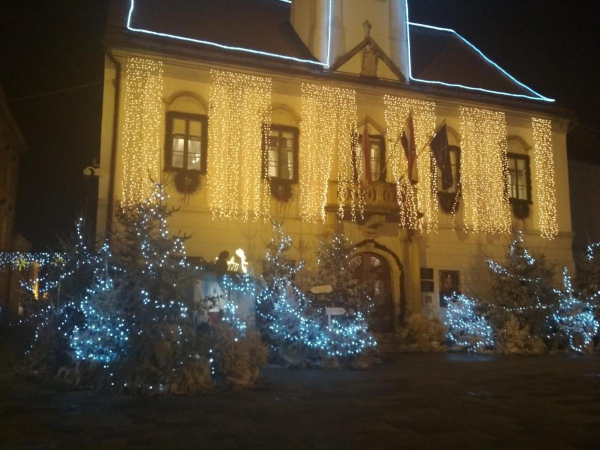 Apartment Vukovic Varazdin